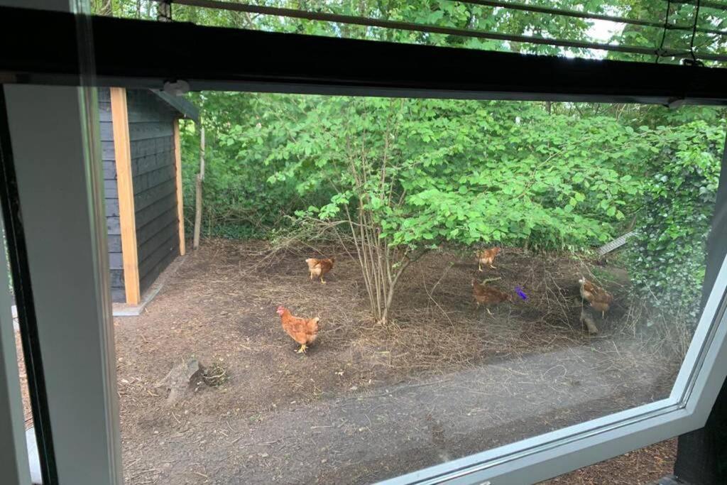 Vila Prachtig Gerenoveerd Bakhuis Enerene Vught Exteriér fotografie